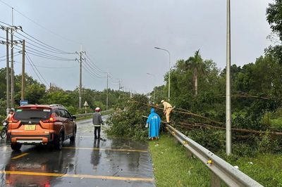 CSGT La Gi cùng người dân dọn cây đổ, bảo đảm giao thông trên Quốc lộ 55