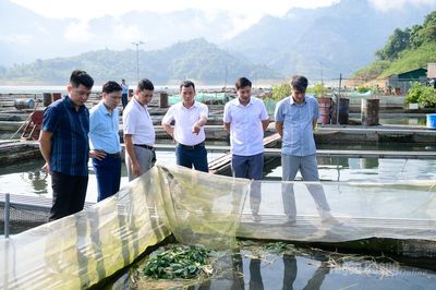 Trao đổi kinh nghiệm vận hành chính quyền địa phương 2 cấpTrao đổi kinh nghiệm vận hành chính quyền địa phương 2 cấp