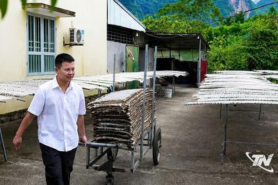 Khôi phục làng nghề mỳ gạo Tiền Phong