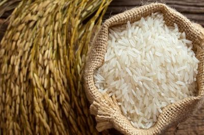Ngày 8/8: Giá lúa tại Đồng bằng sông Cửu Long tăng, gạo nguyên liệu neo ở mức cao