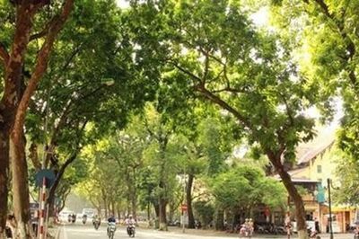 Dự báo thời tiết ngày 8/8: Bắc Bộ ngày nắng, đêm mưa dông
