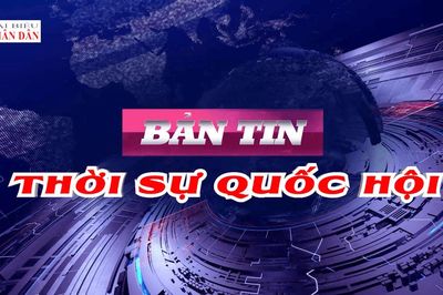 Bản tin Thời sự Quốc hội ngày 8/8/2026
