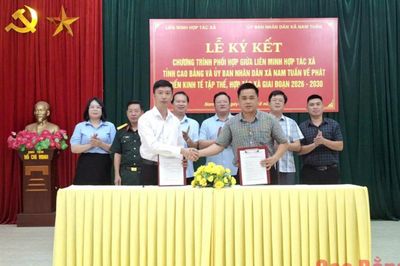 Ký kết hợp tác thúc đẩy kinh tế tập thể tại xã Nam Tuấn giai đoạn 2026 - 2030