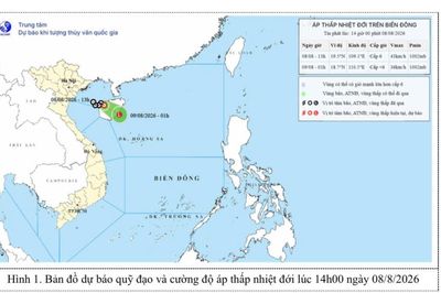 Tin áp thấp nhiệt đới trên Biển Đông