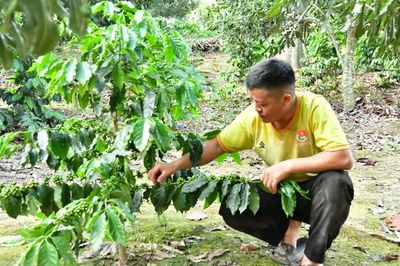 Trình Quốc hội phương án thống nhất 4 Chương trình mục tiêu quốc gia