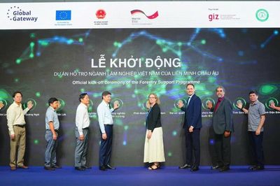 EU hỗ trợ Việt Nam 20 triệu EUR bảo tồn, phục hồi rừng tại 5 địa phương