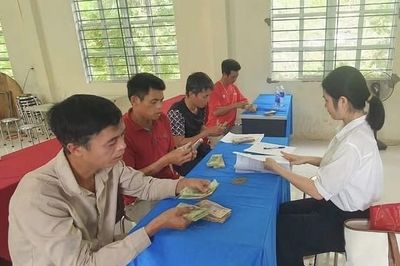 Cao Bằng: Quỹ Hỗ trợ nông dân tỉnh giải ngân 750 triệu đồng cho Dự án 'Trồng và chăm sóc cây keo'