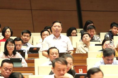 Đại biểu Quốc hội đề nghị xác định rõ 'biên giới' của Luật Xuất bản trên không gian mạng