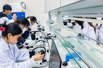 Điểm chuẩn Trường Đại học Việt Nhật 2026