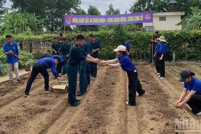 Tuổi trẻ quân đội, sinh viên chung sức xây dựng môi trường xanh
