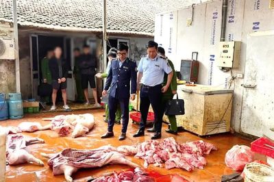 [VIDEO] Hưng Yên phát hiện gần một tấn thịt heo nhiễm dịch tả châu Phi
