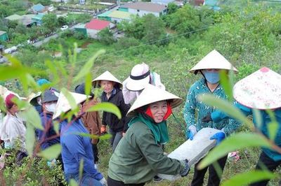 Hơn 1.000 người góp sức tái tạo dòng chữ 'BÁC HỒ SỐNG MÃI' trên dãy Lam Thành