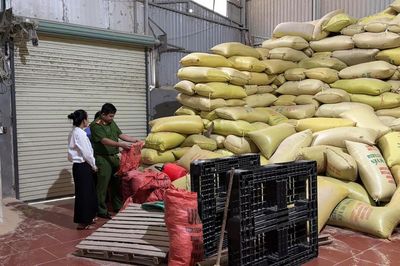 Phát hiện hai kho gạo 'Sén Cù Mường Khương' rởm