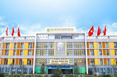 Điểm chuẩn Học viện Nông nghiệp Việt Nam năm 2026 cao nhất 24,41