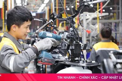 Hà Tĩnh thu hút 36 dự án đầu tư trong và ngoài nước