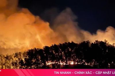 Vì sao số vụ cháy rừng ở Hà Tĩnh tăng cao?