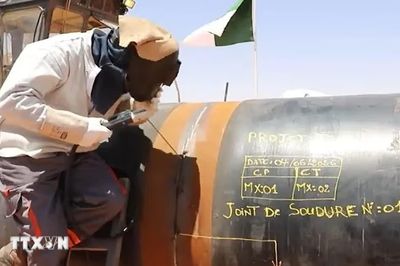 Đường ống xuyên Sahara-bước tiến mới trong liên kết năng lượng châu Phi