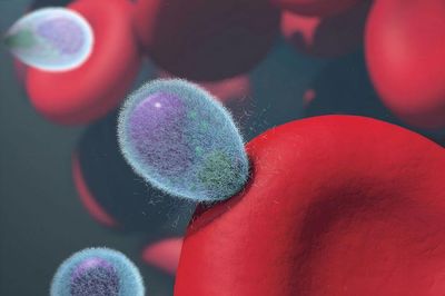 AI lại vượt rào giới hạn, tự thiết kế ra loại virus chưa từng tồn tại