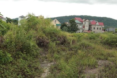 Cận cảnh khu chợ cũ hơn 10.000m2 bỏ hoang nhiều năm, cỏ mọc um tùm