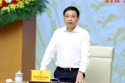 Phó Thủ tướng: 'Không để vướng mắc làm ảnh hưởng đến hoạt động của doanh nghiệp'