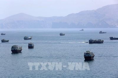 Vận tải biển toàn cầu tăng mạnh bất chấp căng thẳng địa chính trị