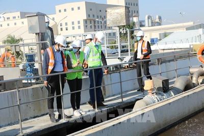 Thúc đẩy kinh tế tuần hoàn từ những mô hình sinh thái thực lưu
