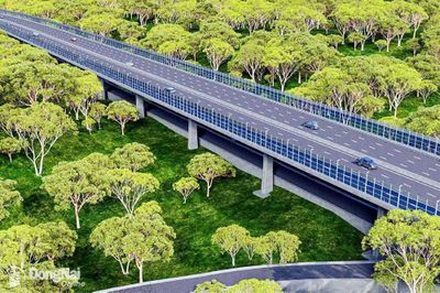 Triển khai thi công hạng mục cọc thí nghiệm tuyến đường trên cao xuyên rừng Mã Đà