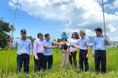 Phát hiện, xử lý 15 vụ giăng lưới tàng hình săn bắt chim yến và chim hoang dã