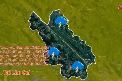 Dự báo thời tiết ngày 9/8
