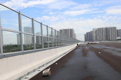 Cận cảnh 9km tường chống ồn trên Vành đai 3 TP.HCM