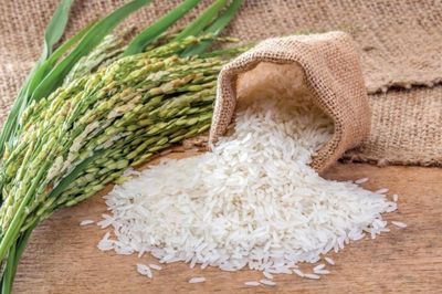 Ngày 9/8: Giá lúa gạo tại Đồng bằng sông Cửu Long ít biến động