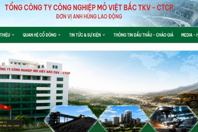 Mỏ Việt Bắc báo lỗ quý II, lợi nhuận 6 tháng giảm 81%