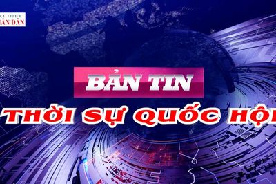 Bản tin Thời sự Quốc hội ngày 9/8/2026