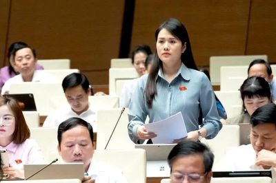 Đề nghị người Việt Nam ở nước ngoài là nhóm đặc thù trong phổ biến, giáo dục pháp luật