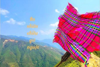 An nhiên chiều gió ngược