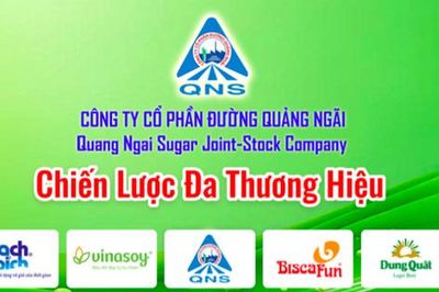 Cổ đông của Đường Quảng Ngãi (QNS) sắp nhận được hơn 367 tỷ đồng tiền trả cổ tức