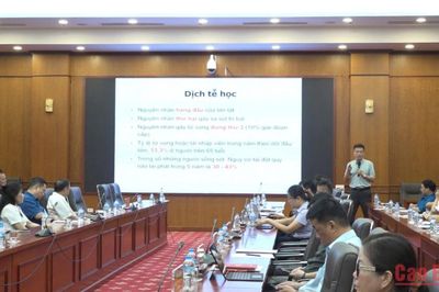 Hội thảo khoa học 'Cập nhật xu hướng mới và phối hợp đa chuyên khoa trong Phục hồi chức năng sau đột quỵ và chấn thương'