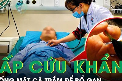 Cấp cứu sau khi uống mật cá trắm cùng rượu để bổ gan
