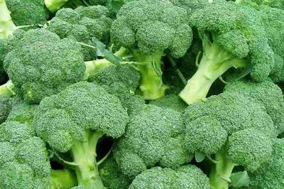 Top 5 loại rau củ hỗ trợ giảm acid uric