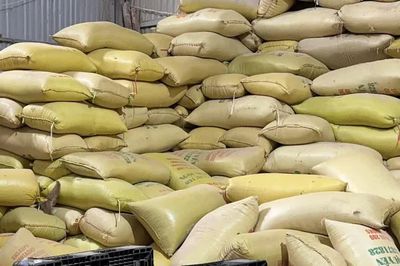 Khởi tố đối tượng buôn bán hơn 22 tấn gạo giả nhãn hiệu Séng Cù