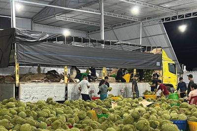 Gỡ điểm nghẽn để xuất khẩu nông, lâm, thủy sản về đích