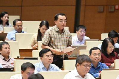 Hòa giải trực tuyến cần tránh biến công cụ hòa giải thành nguyên nhân mâu thuẫn mới