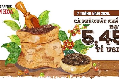 Cà phê Việt Nam xuất khẩu 7 tháng đạt 5,45 tỉ USD