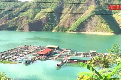 [Video] Mưa lũ gây nhiều khó khăn cho nghề nuôi cá lồng ở Sơn La