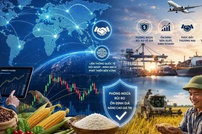 Sớm hoàn thiện hành lang pháp lý cho thị trường hàng hóa phái sinh