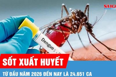 TPHCM ghi nhận hơn 1.100 ca mắc sốt xuất huyết trong một tuần