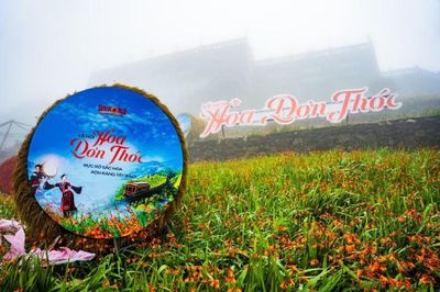 Sa Pa: Choáng ngợp thảm hoa dơn thóc trên đỉnh Fansipan