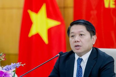 Sẽ hình thành bốn mạng lưới kết nối nguồn lực kiều bào