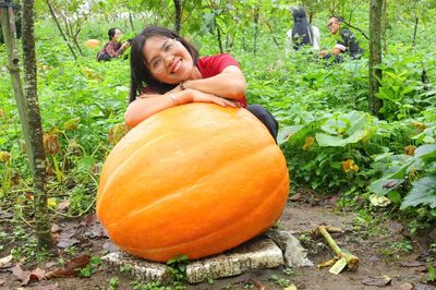 Độc đáo vườn bí ngô khổng lồ ở vùng biên Quảng Ninh, có quả nặng hơn 120kg