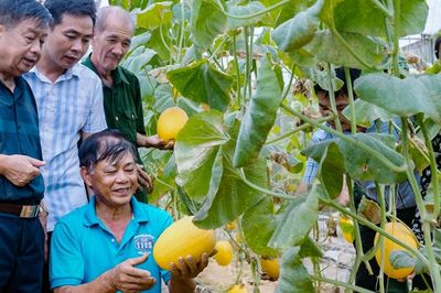 Không sợ thất bại, nông dân thu tiền tỷ từ mô hình sản xuất mới